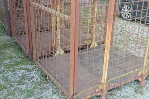 Contenitori per Legna da ardere 