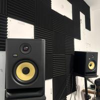 Studio Monitor