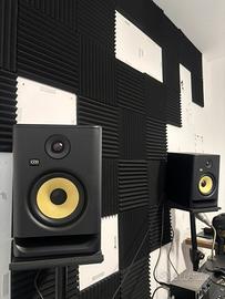 Studio Monitor