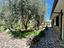Immagine 26