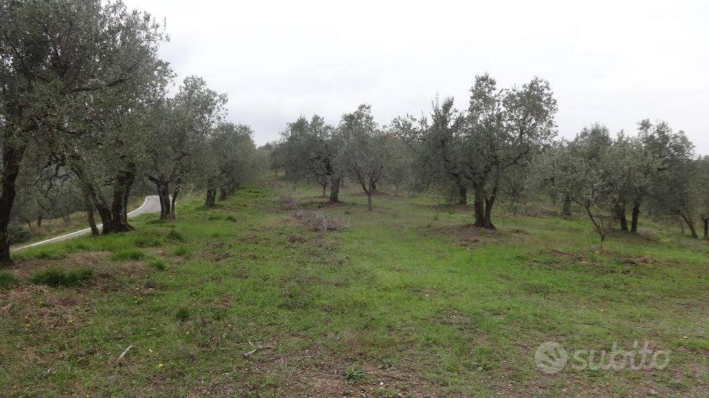 Terreno di 1850 m² a Lucca - Vista 2