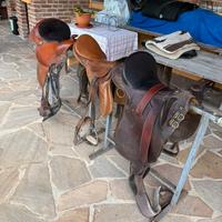 Selle per cavalli