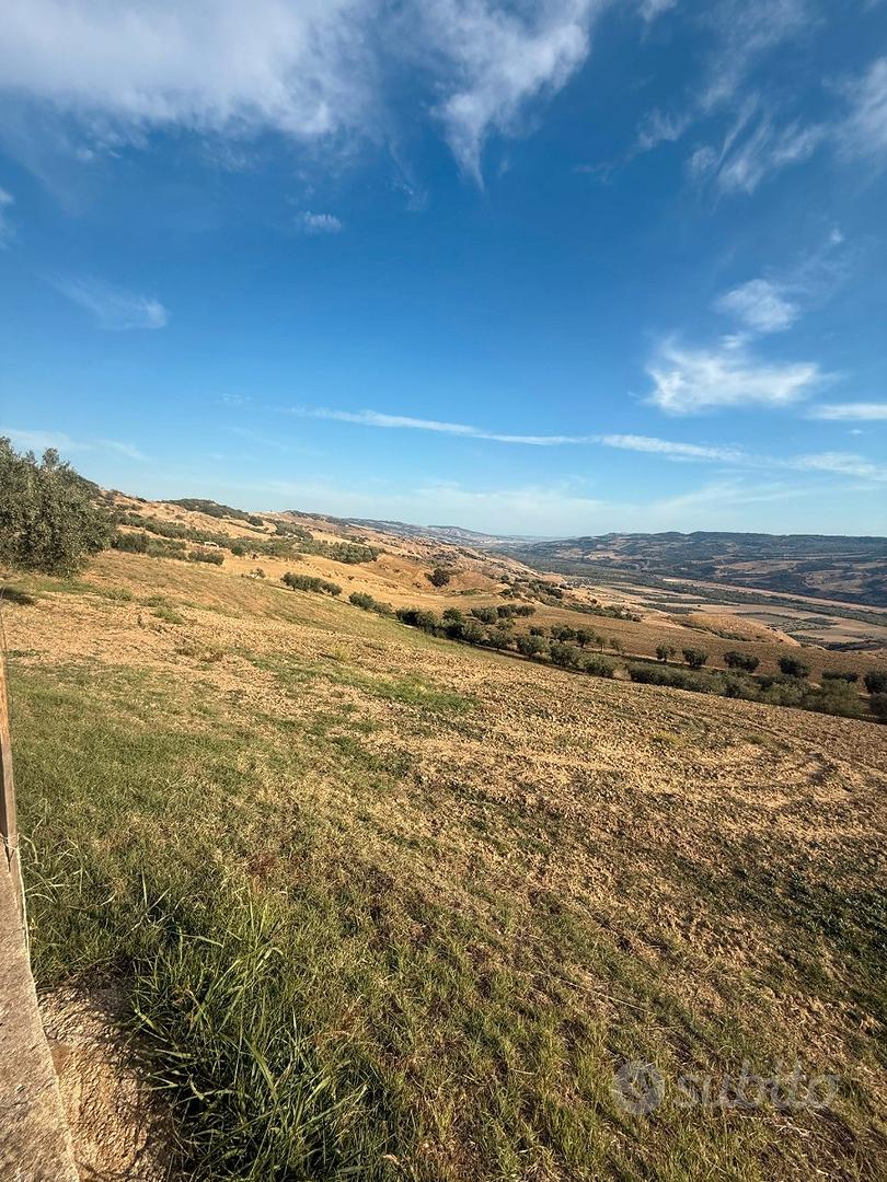 Vendita terreno e abitazione - Vista 6