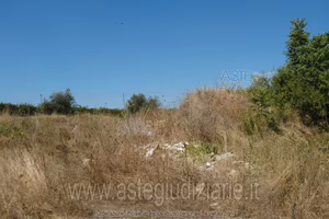 Terreno Agricolo Velletri [A367320]