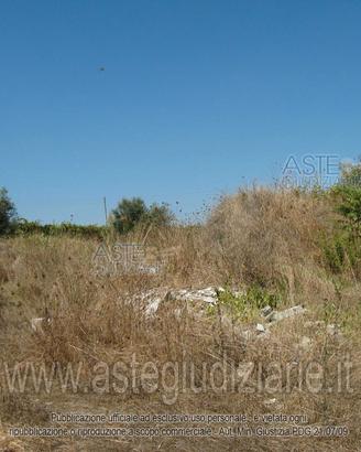 Terreno Agricolo Velletri [A367320]