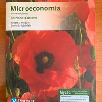 Microeconomia (Pindyck Rubinfeld). Edizione Custom