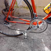 Bianchi 160€
