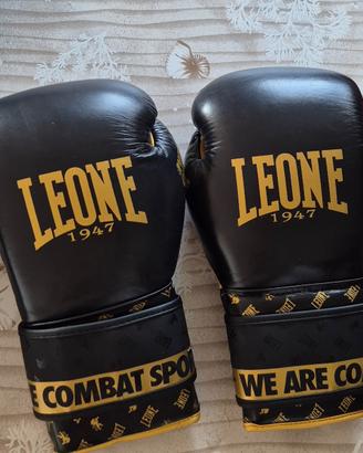 Attrezzatura per Muay Thai, Kick Boxing o MMA