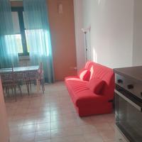 Bilocale urbino
