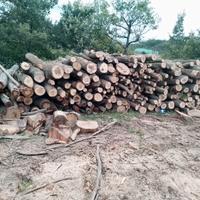 Legna da ardere ,pali scortecciati, bancali