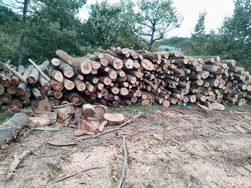 Legna da ardere ,pali scortecciati, bancali