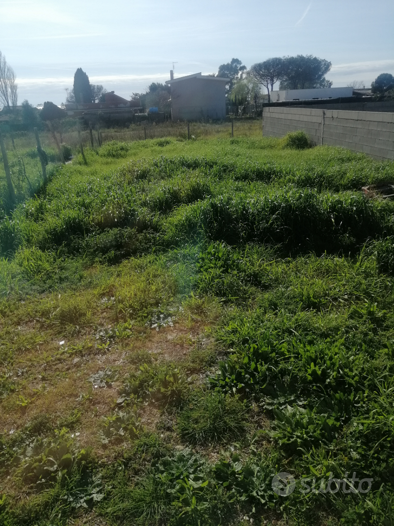Terreno più contanir - Vista 3