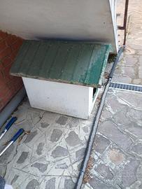 regalp cuccia x  cane