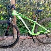 Bici MTB