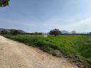 ter-agricolo-a-venafro