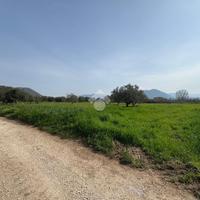 TER. AGRICOLO A VENAFRO
