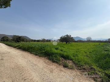 TER. AGRICOLO A VENAFRO