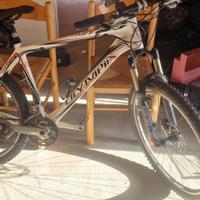 bicicletta bianca mtb