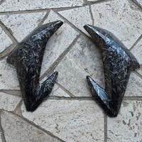 Fianchetti Kawasaki Z900 del 2017 2018 2019