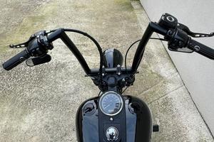 Harley nightrain