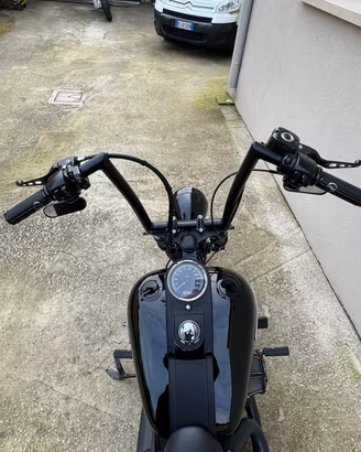 Harley nightrain