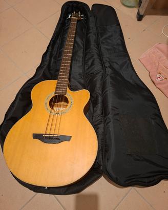 Basso acustico amplificato