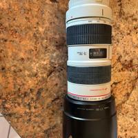 Canon EF 70-200mm f/2.8L IS USM.