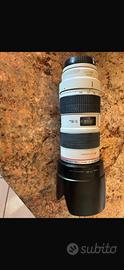 Canon EF 70-200mm f/2.8L IS USM.