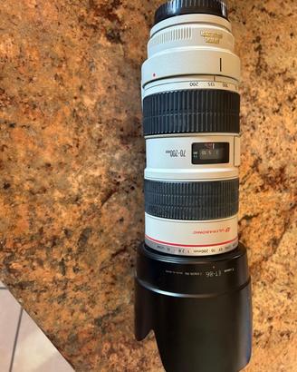Canon EF 70-200mm f/2.8L IS USM.