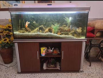 Acquario 500 litri 