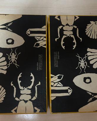 Rara collezione didattica NATURA Bologna