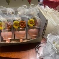 Appendini rosa nuovi tema bomboniera