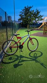 bicicletta 