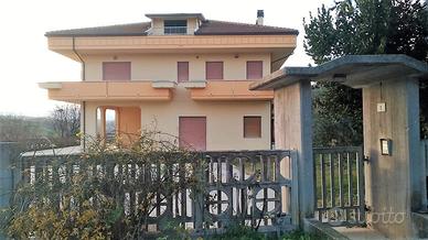 Fabbricato cielo/terra con corte di 1000 mq