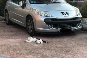 Peugeot 207 del 2007 Diseal 5 porte