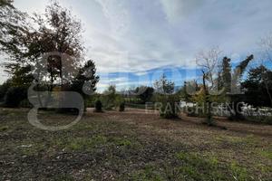 Terreno Agricolo Piedimonte Matese