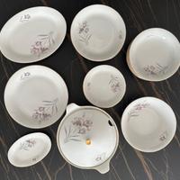 Servizio di piatti Scherberg