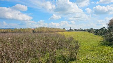 Terreno agricolo in località Pauli Porcu