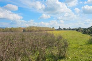 Terreno agricolo in località Pauli Porcu