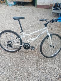 bici da ragazzino