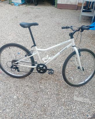 bici da ragazzino