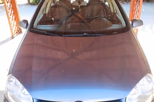 WW Golf 5 tdi 105cv