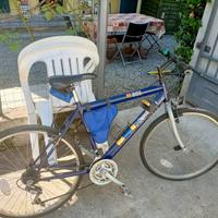 Bici M Bike