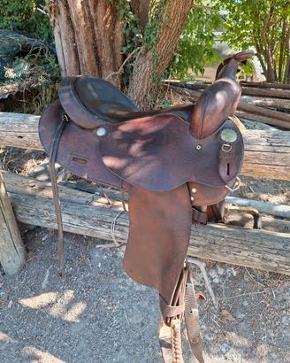 sella western Crates
