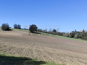 Terreno - Benevento