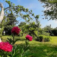 Terreno Agricolo Recintato con Pozzo e Frutteto