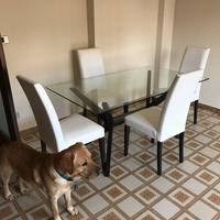 Tavolo in vetro con 4 sedie