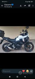 Honda NX500