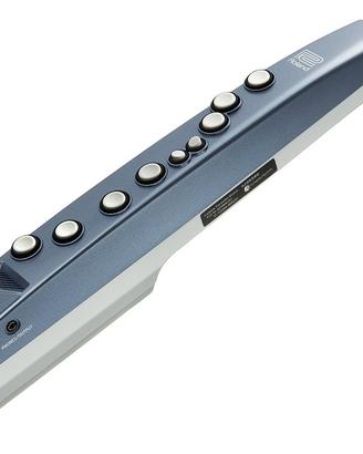 Roland Aerophone Mini