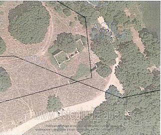 Terreno Agricolo Gavoi [A4292114]